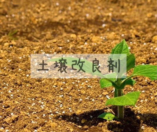 土壌改良剤