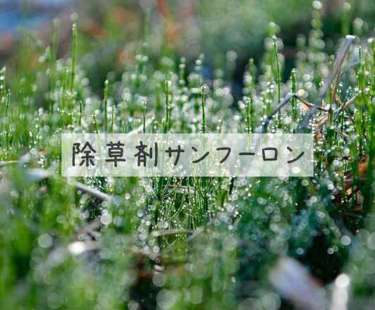 除草剤サンフーロン